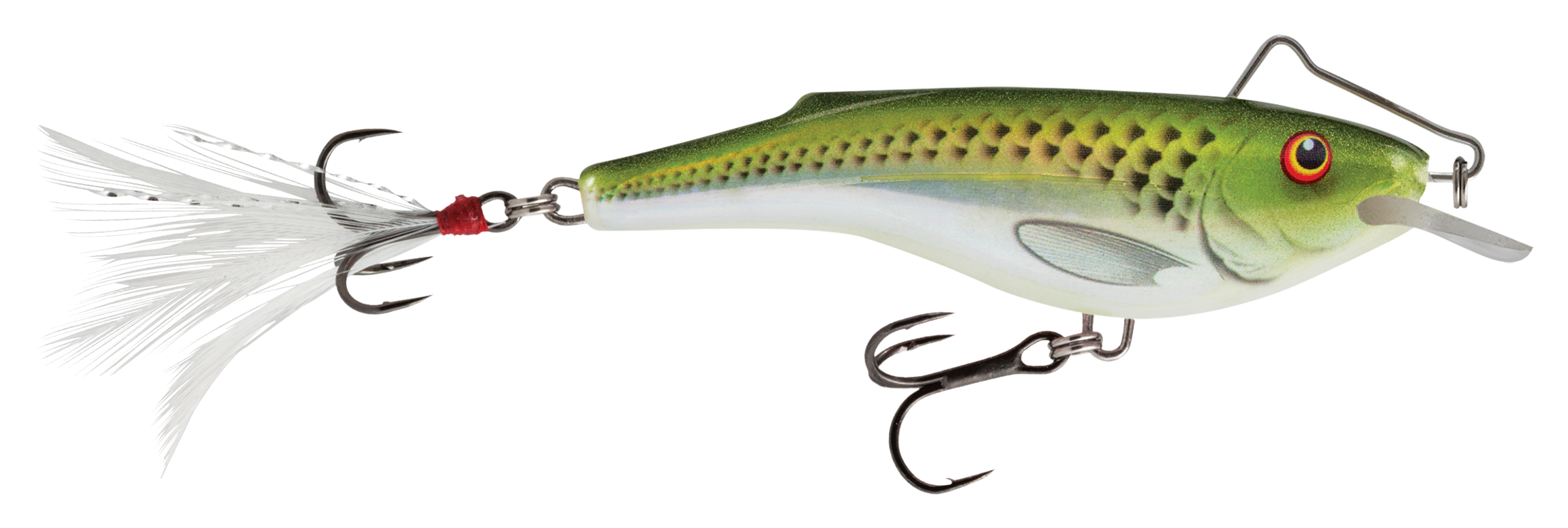 Salmo Rail Shad | Bass Pro Shops